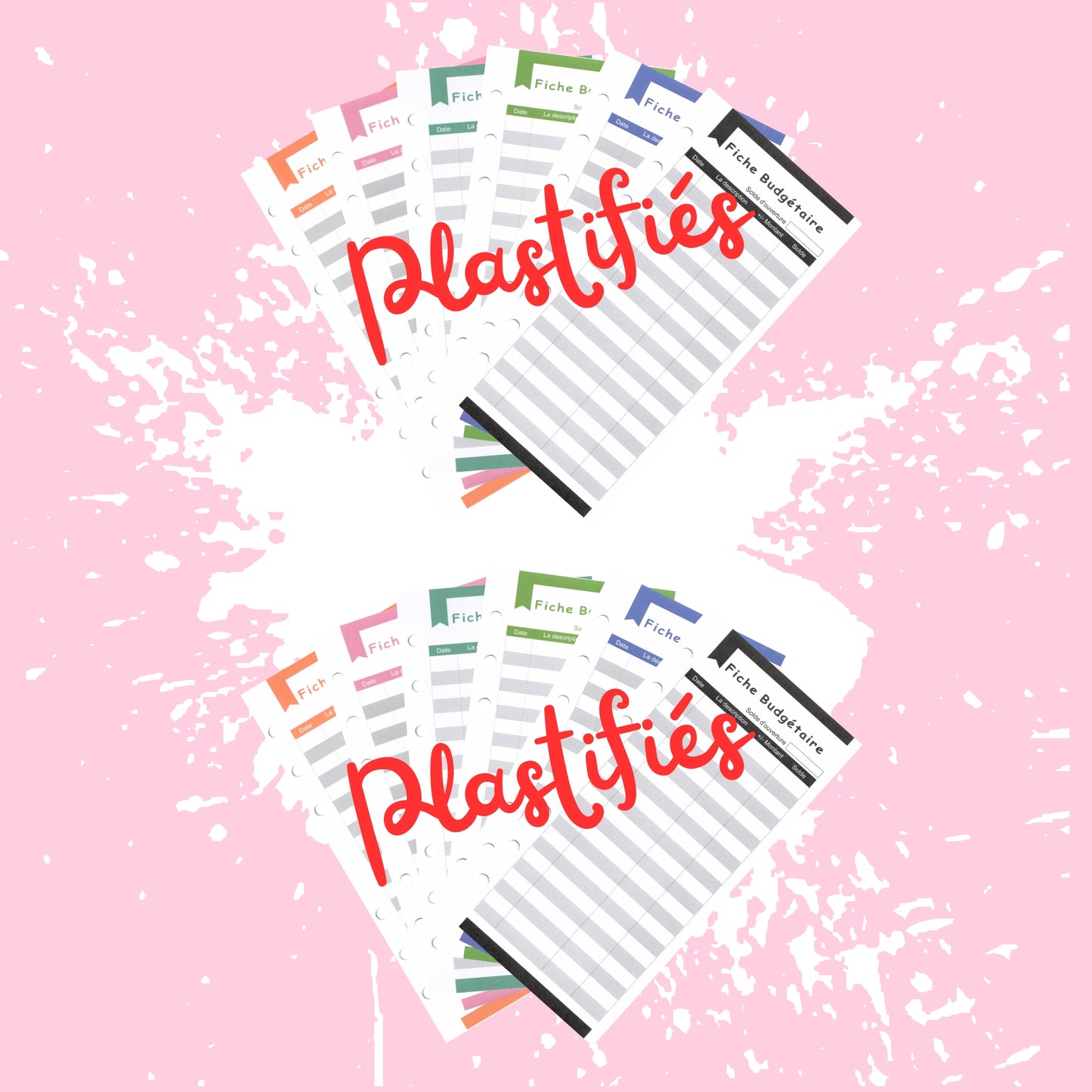 12 Fiches de Suivi en francais plastifiees
