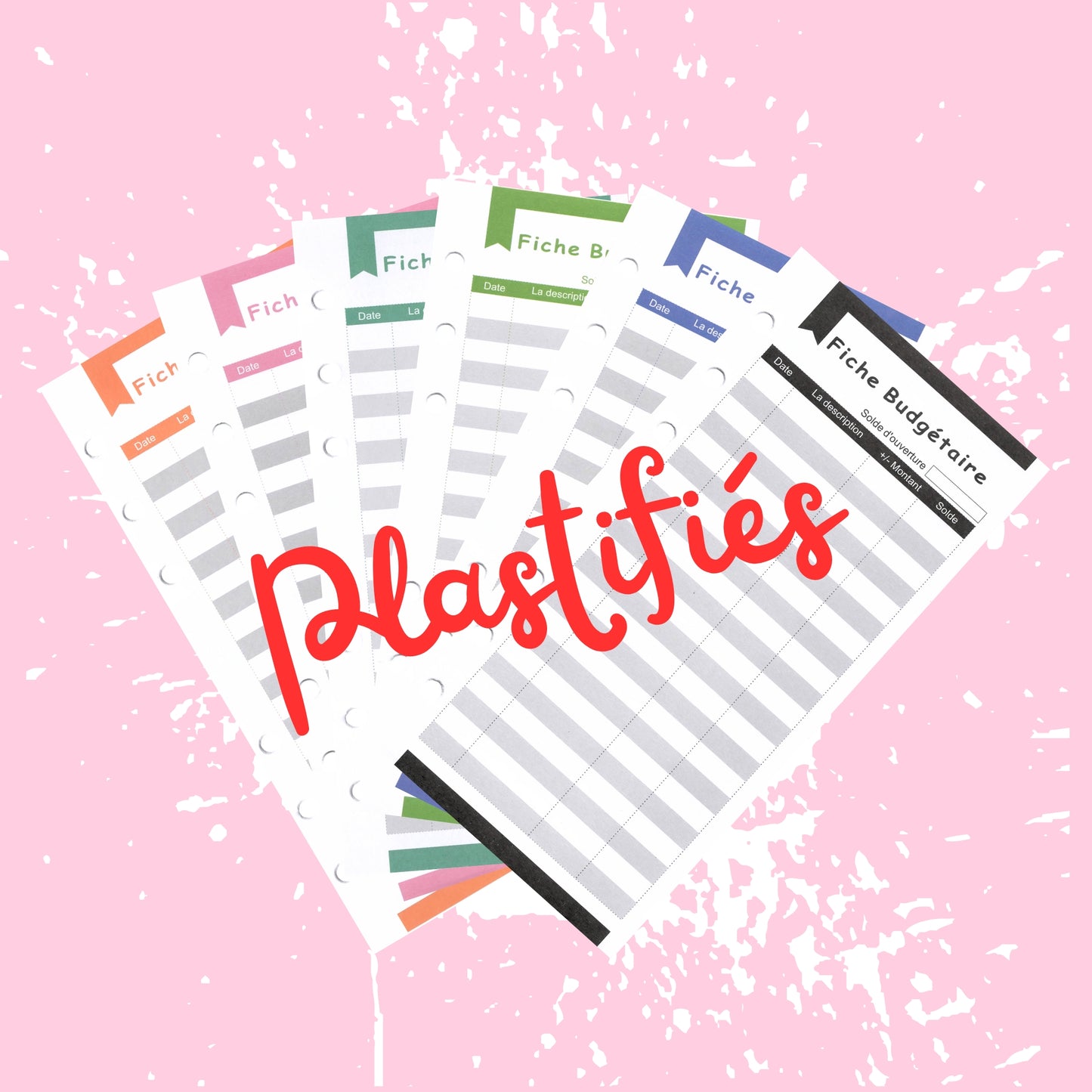 6 Fiches de Suivi en francais plastifiees